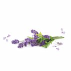 Illatosító diffúzor, Lavender, 120 ml