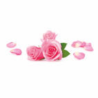 Illatosító diffúzor, Rose Blossoms, 120 ml