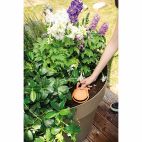 Terrakotta irrigátor, 15 cm -es magasság, barna