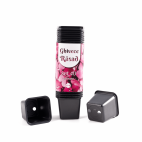 Set 40 ghivece rasad, dimensiune 6x6 cm