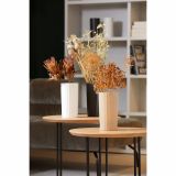 Vaza ceramica, Pure