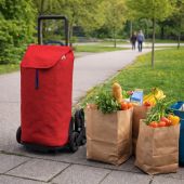 Carucior cumparaturi Tris