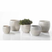 Ghiveci ceramica, aspect lemn, Alberta