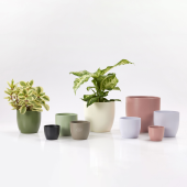 Ghiveci ceramica, Basel