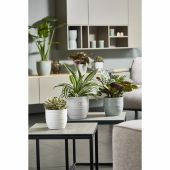 Ghiveci ceramica, Bergamo Pure