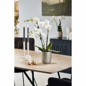 Ghiveci ceramica, Falun Glamour