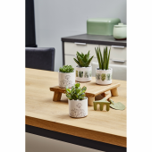 Las Vegas Greenery kerámia kaspó