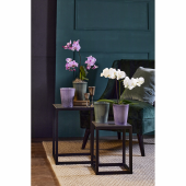 Ghiveci ceramica, Medina Glaze