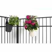 Ghiveci cu agatatoare, My Mood