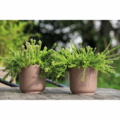 Ghiveci Satina Eco Wood