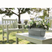 Jardiniera cu tava, Cloe