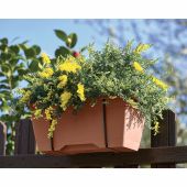 Jardiniera cu tava, Prime