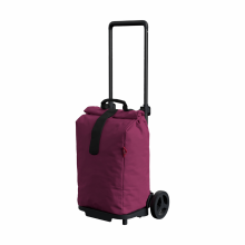 Carucior cumparaturi Sprinter