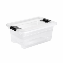 Cutie depozitare, 4 litri, Cornelia, transparenta