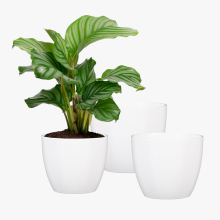 Ghiveci ceramica, Basel XXL