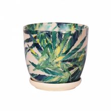 Ghiveci ceramica cu farfurie, Wenus, feriga