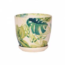 Ghiveci ceramica cu farfurie, Wenus, ficus Ghiveci ceramica cu farfurie, Wenus, ficus