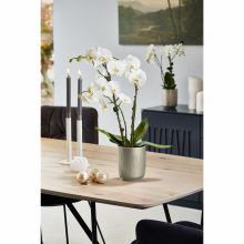 Ghiveci ceramica, Falun Glamour Ghiveci ceramica, Falun Glamour