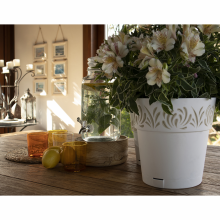 Ghiveci cu farfurie, Gaia