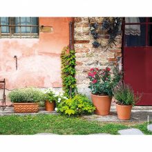 Ghiveci din teracota, Cono