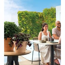 Ghiveci din teracota, Duo