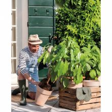 Ghiveci inalt din teracota, Alto Duo