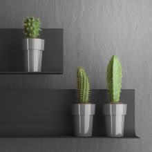 Ghiveci pentru cactus, Classic Ghiveci pentru cactus, Classic