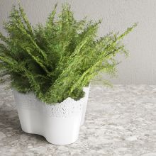 Ghiveci triplu, dantelat, Koronka Ghiveci triplu, dantelat, Koronka