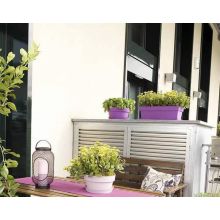 Jardiniera cu grilaj interior, My Mood