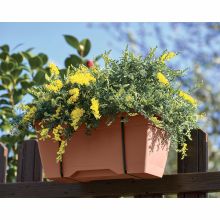 Jardiniera cu tava, Prime