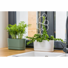 Jardiniera cu tavita, Satina