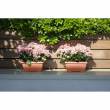 Jardiniera cu tavita, Terrae Mini