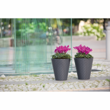 Masca Rattana cu ghiveci interior