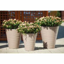 Masca Sahara cu ghiveci interior