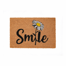 Pres cocos vopsit, 60x40 cm, Smile