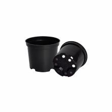 Set 12 ghivece rasad, diametru 15 cm