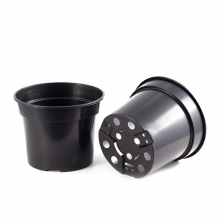 Set 12 ghivece rasad, diametru 17 cm