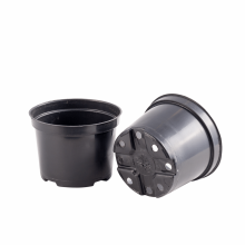 Set 24 ghivece rasad, diametru 10 cm