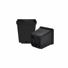 Set 24 ghivece rasad, dimensiune 11x11 cm