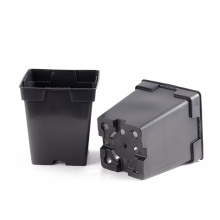 Set 24 ghivece rasad, dimensiune 11x11 cm