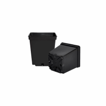 Set 24 ghivece rasad, dimensiune 9x9 cm