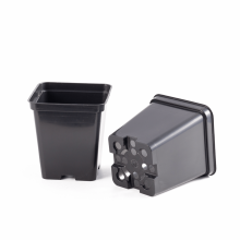 Set 24 ghivece rasad, dimensiune 9x9 cm