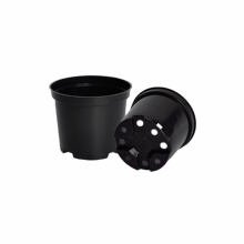 Set 6 ghivece rasad, diametru 18 cm