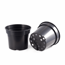 Set 6 ghivece rasad, diametru 19 cm