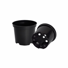 Set 6 ghivece rasad, diametru 21 cm