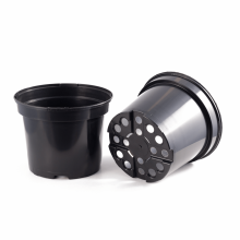 Set 6 ghivece rasad, diametru 21 cm