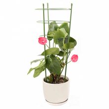 Pálca és gyűrű virágtámaszték, 45 cm