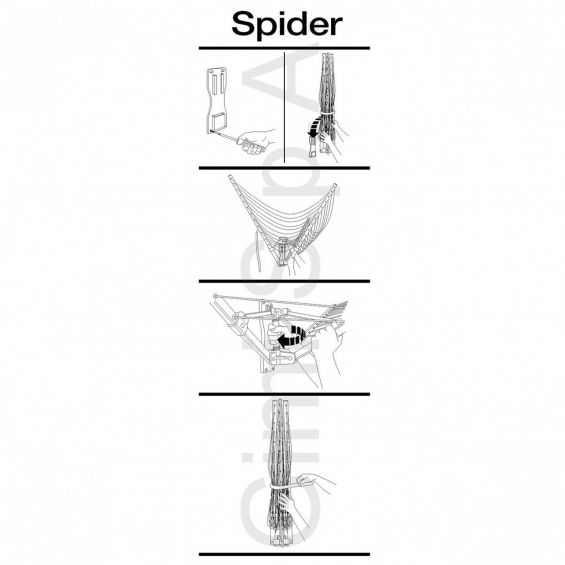Uscator rufe, Garden Spider