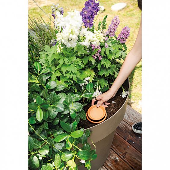 Terrakotta irrigátor, 15 cm -es magasság, barna