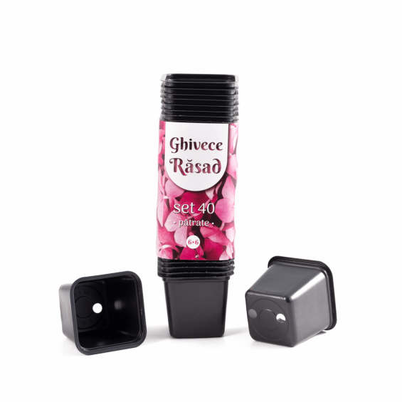 Set 40 ghivece rasad, dimensiune 6x6 cm